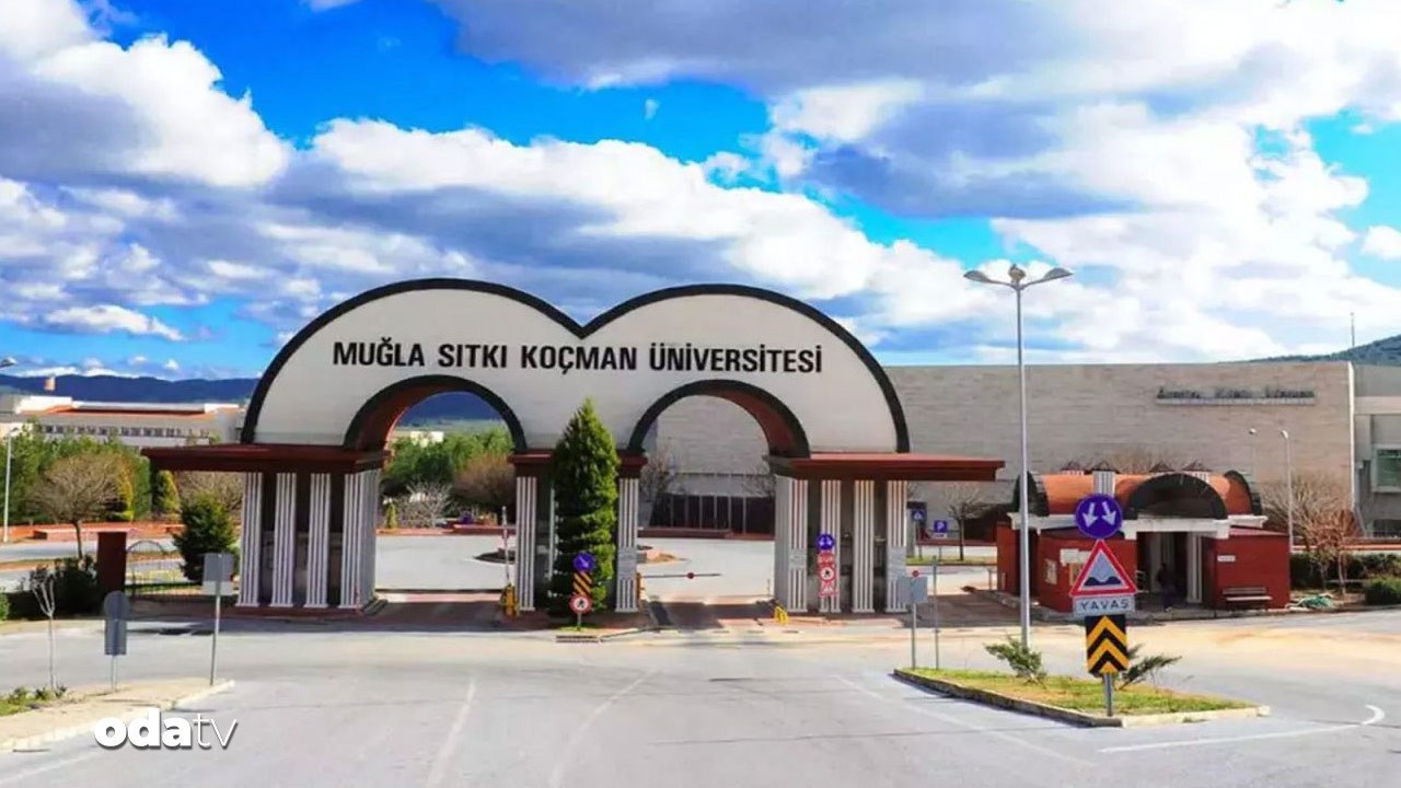 akademide sahte yayin mugla universitesinde intihal skandali Wl3gSgp5