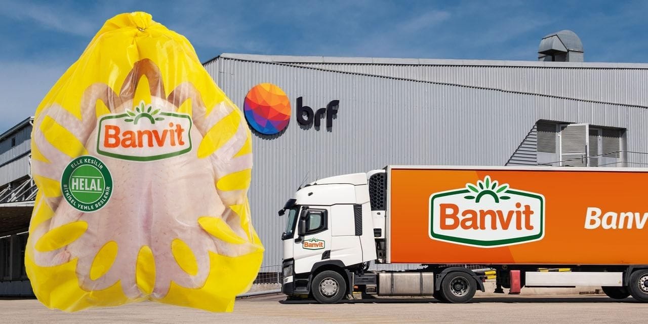 beyaz et devi banvite dev ceza MLRxa8Uz