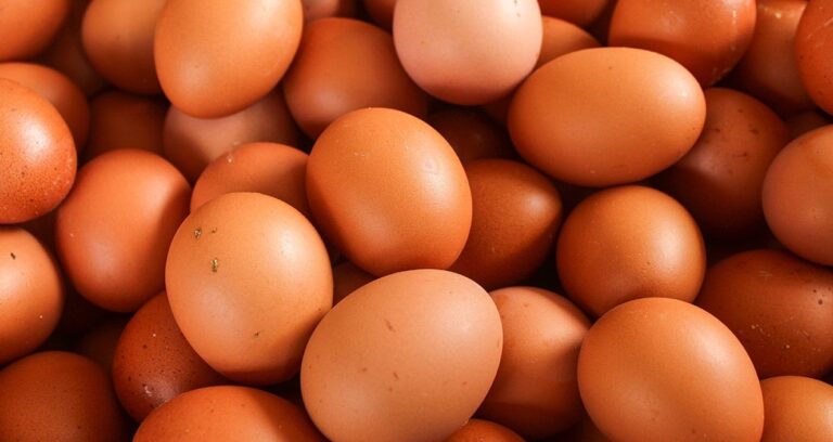 tuik-acikladi-tavuk-yumurtasi-uretimi-azaldi-pk9fjy9R.jpg