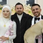 taki-merasiminde-gelin-ve-damada-sok-taki-yerine-kangal-yavrusu-geldi-nbvsLpz6.jpg