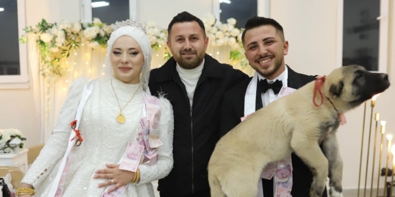 taki-merasiminde-gelin-ve-damada-sok-taki-yerine-kangal-yavrusu-geldi-nbvsLpz6.jpg