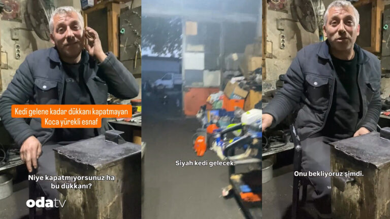 tokatta-esnafin-kedi-mesaisi-on-dakikaya-gelir-6u32YwWj.jpg